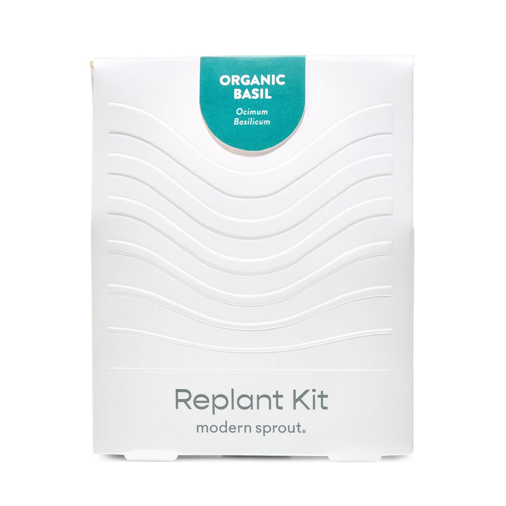 Immersion Hydroponic Replant Kit - Cheeky Garden
