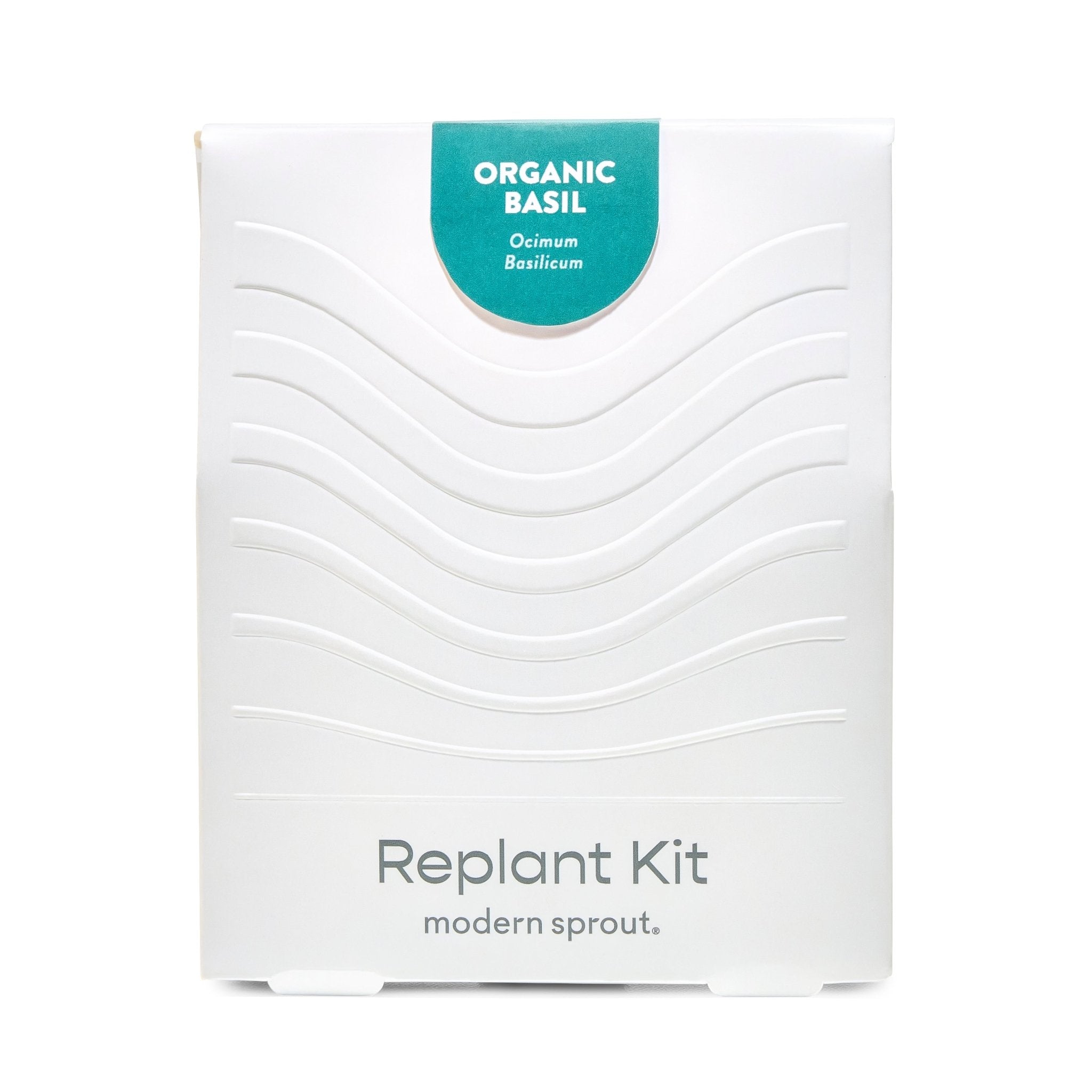 Immersion Hydroponic Replant Kit - Cheeky Garden