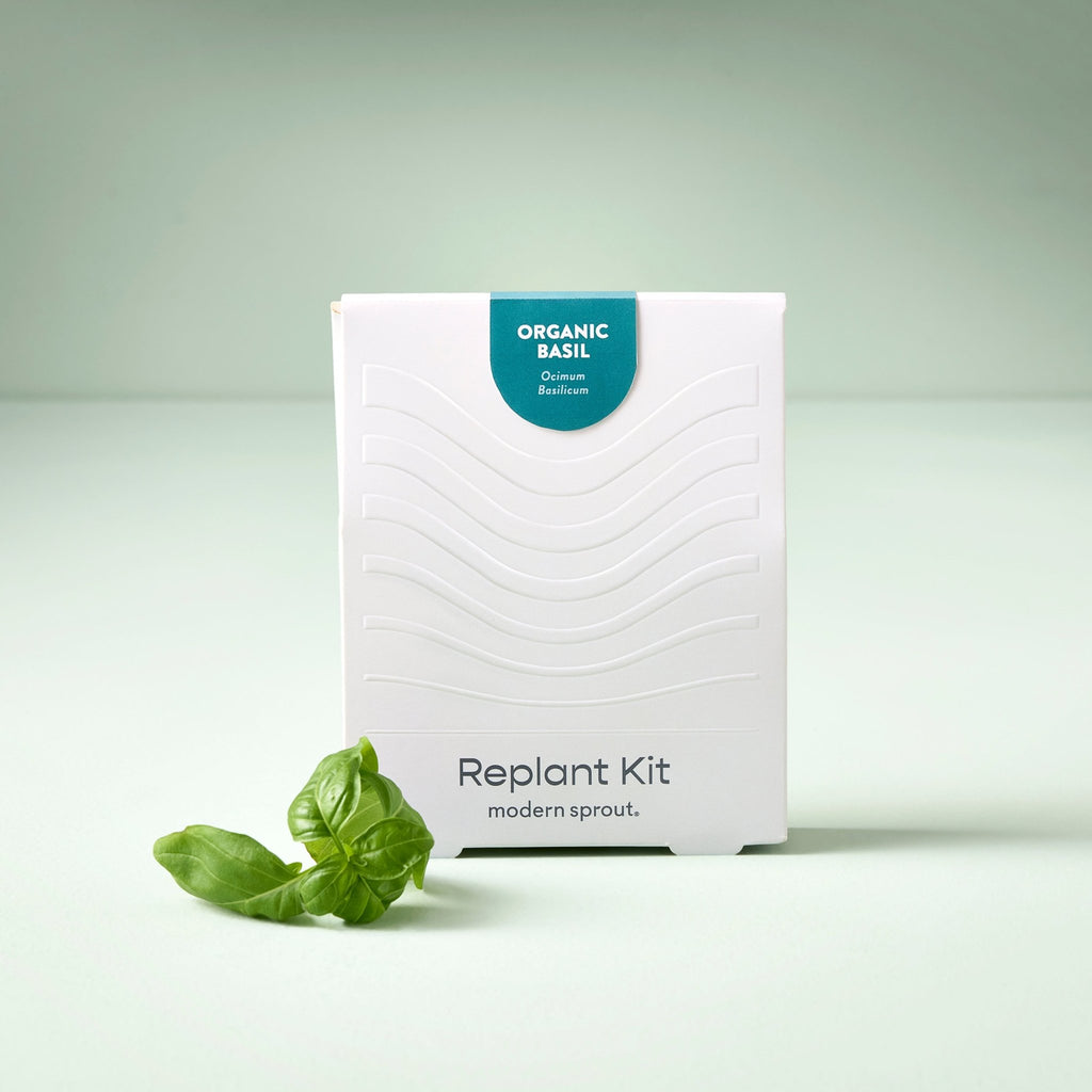 Immersion Hydroponic Replant Kit - Cheeky Garden