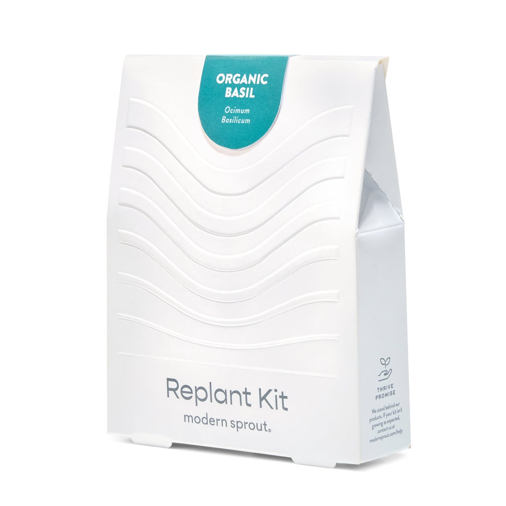 Immersion Hydroponic Replant Kit - Cheeky Garden