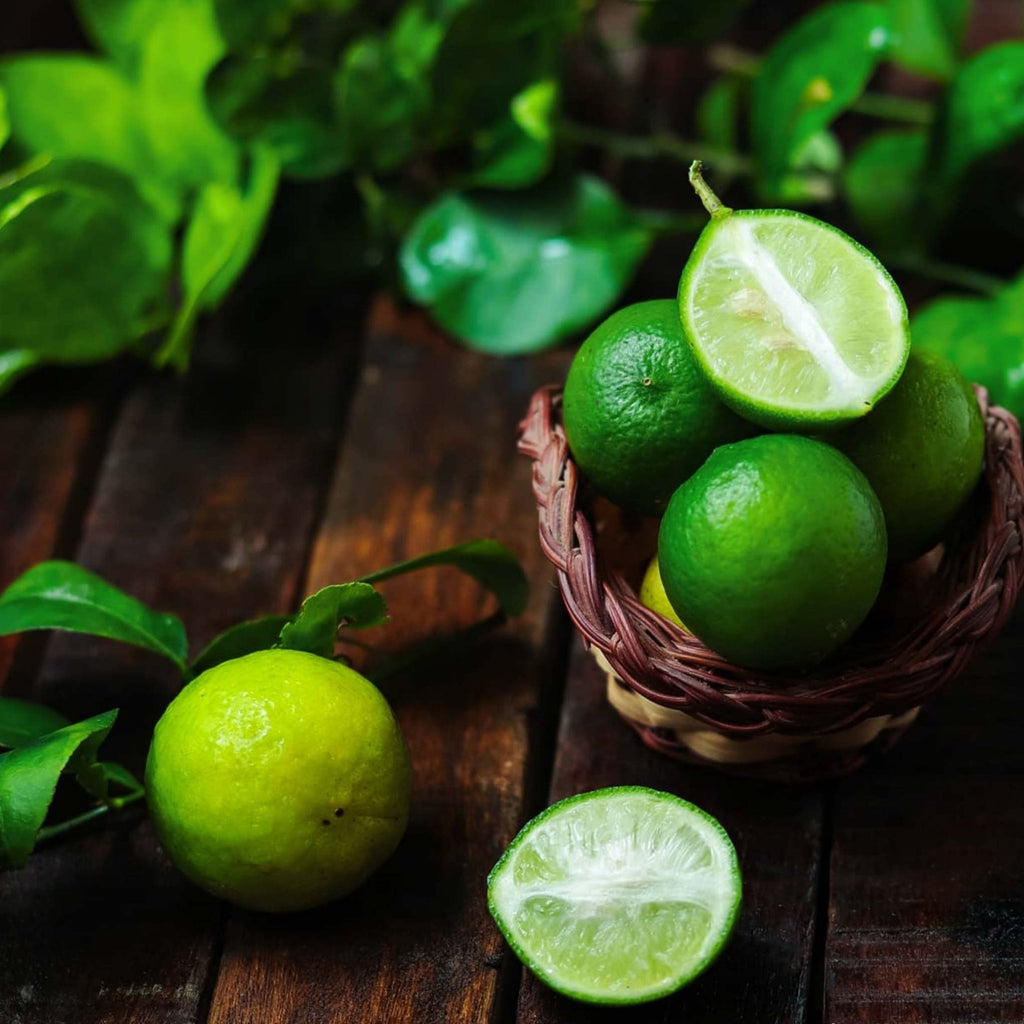 Key Lime Bush - Cheeky Garden
