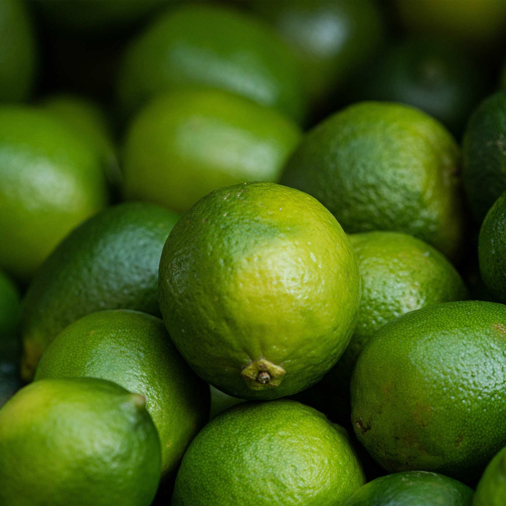 Key Lime Tree (CA) - Cheeky Garden