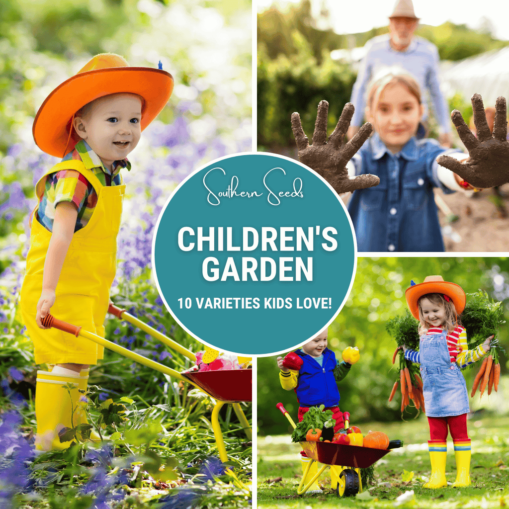 Kids Garden Seed Collection – 10 Varieties - Cheeky Garden