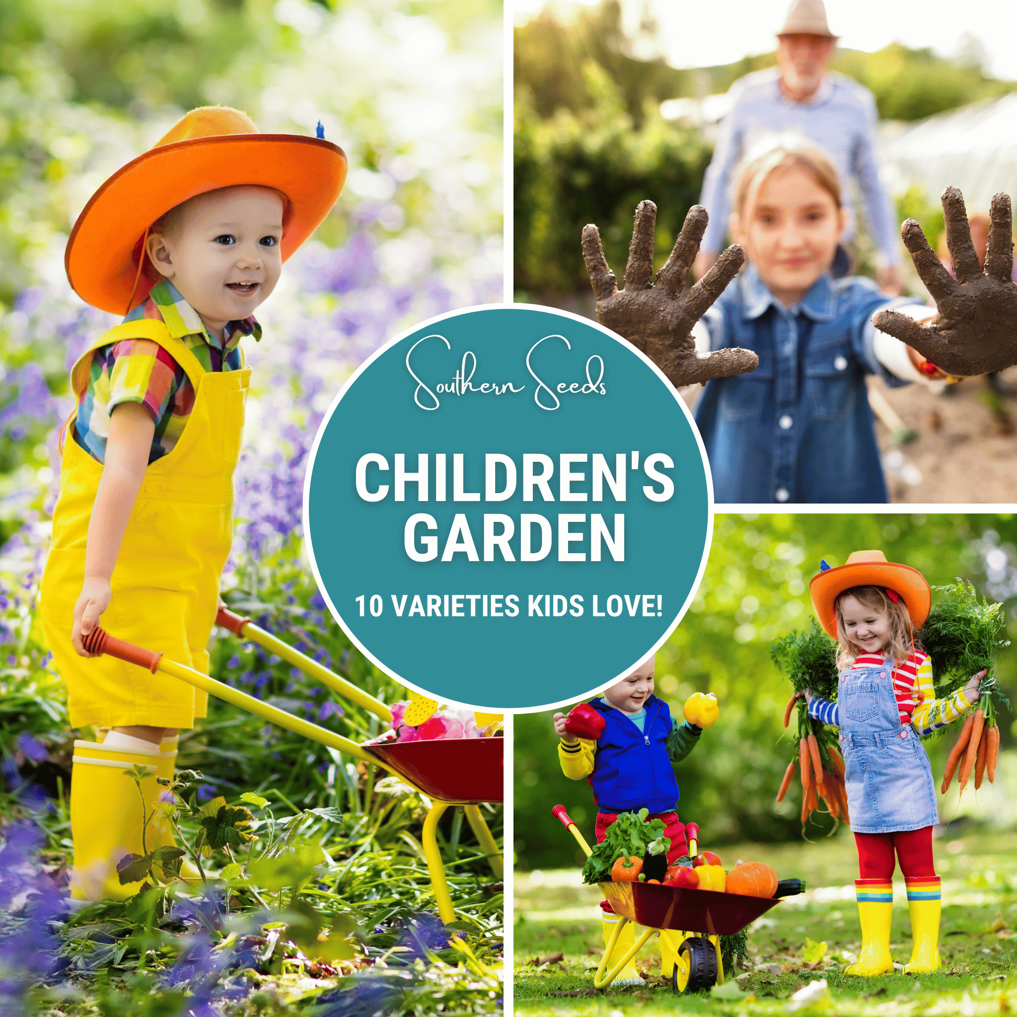 Kids Garden Seed Collection – 10 Varieties - Cheeky Garden