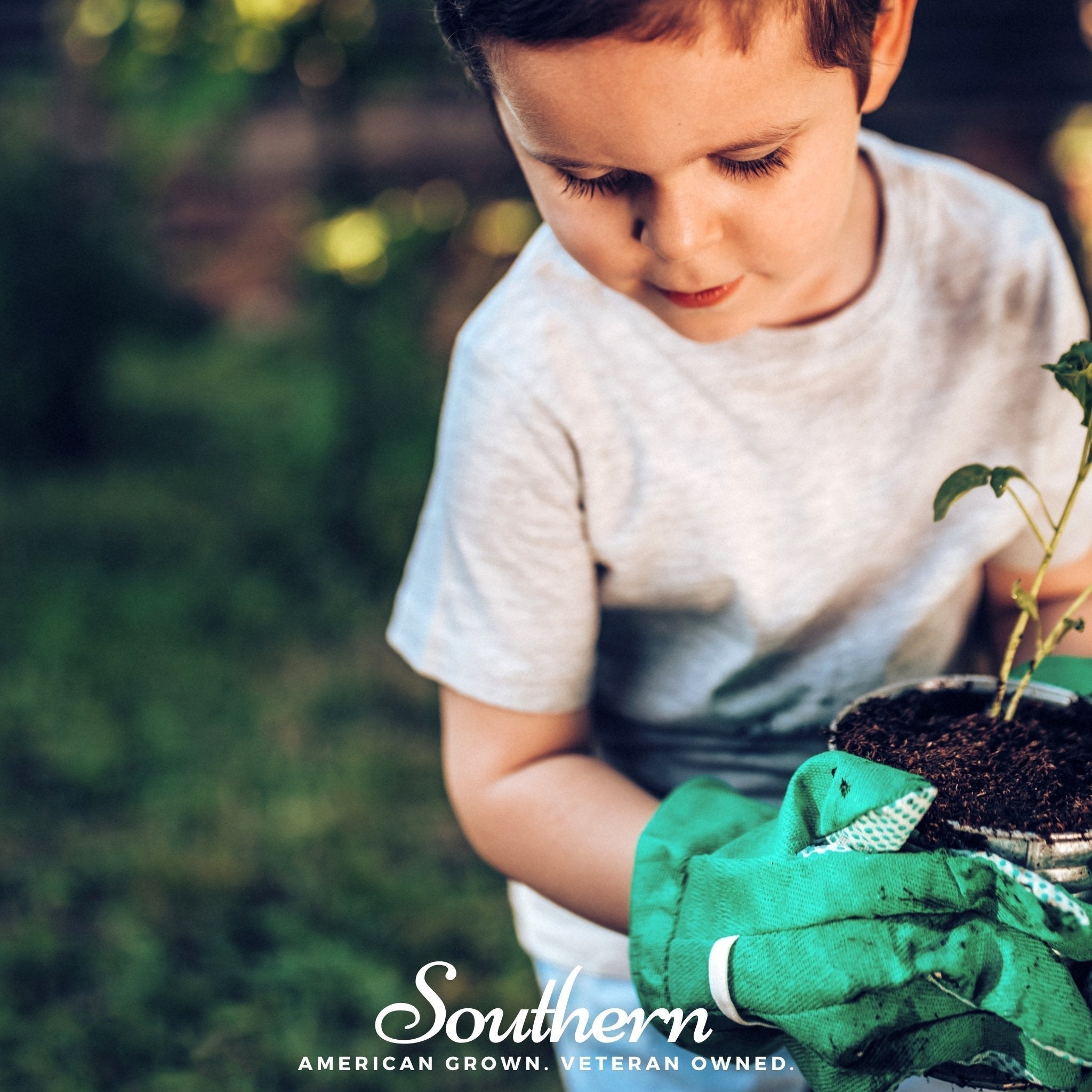 Kids Garden Seed Collection – 10 Varieties - Cheeky Garden