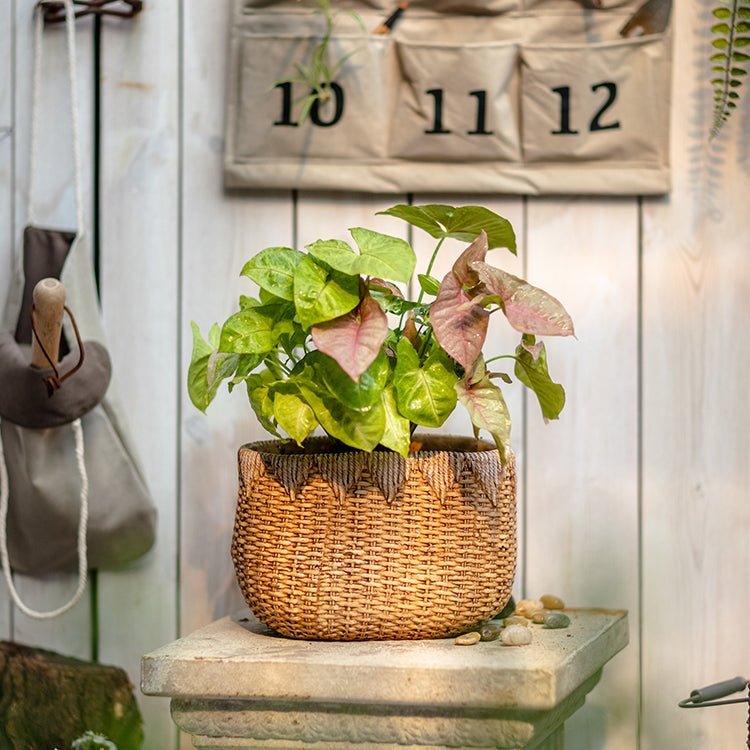 Lady Straw Basket Cement Planter - Cheeky Garden