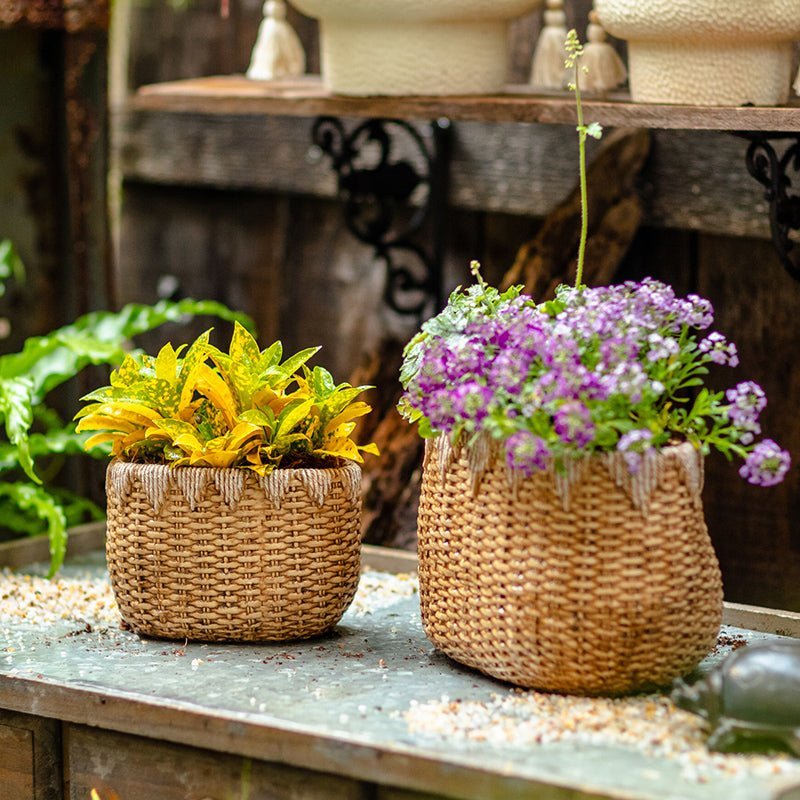 Lady Straw Basket Cement Planter - Cheeky Garden