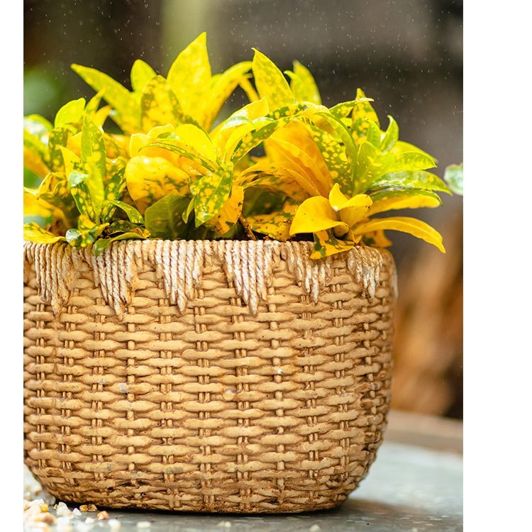 Lady Straw Basket Cement Planter - Cheeky Garden