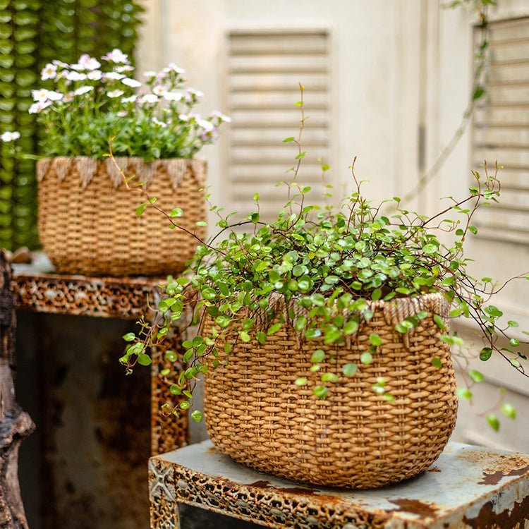 Lady Straw Basket Cement Planter - Cheeky Garden