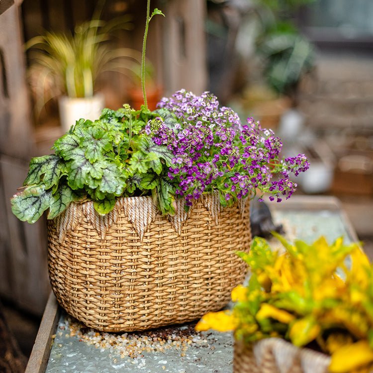 Lady Straw Basket Cement Planter - Cheeky Garden