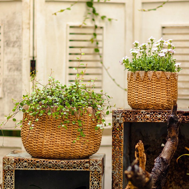 Lady Straw Basket Cement Planter - Cheeky Garden
