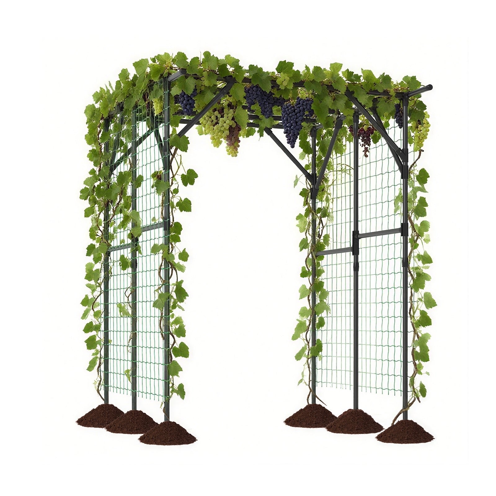 Large Garden Arch Trellis for Climbing Plants Outdoor Grape Vine Support-Black - Cheeky Garden