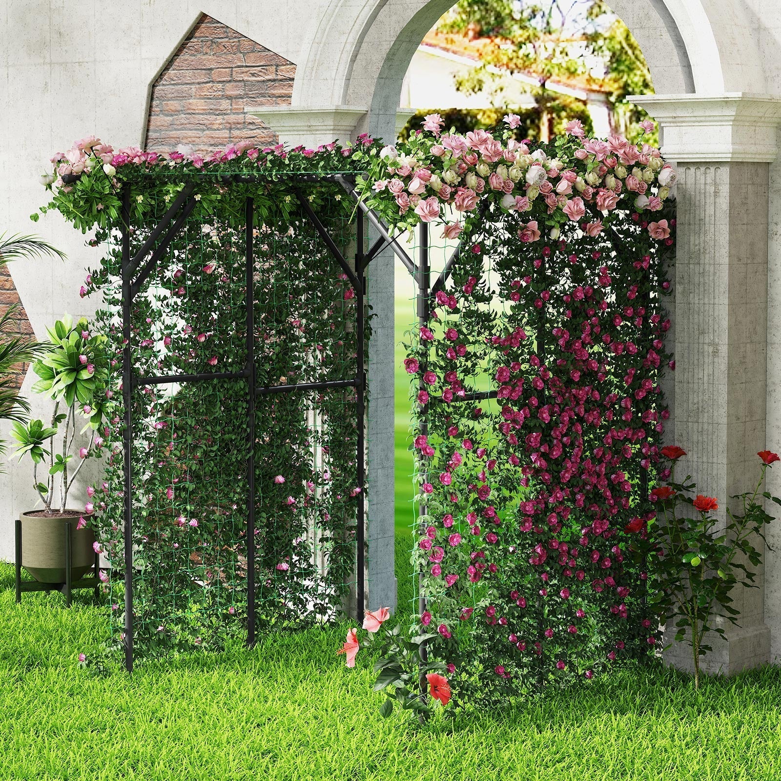 Large Garden Arch Trellis for Climbing Plants Outdoor Grape Vine Support-Black - Cheeky Garden