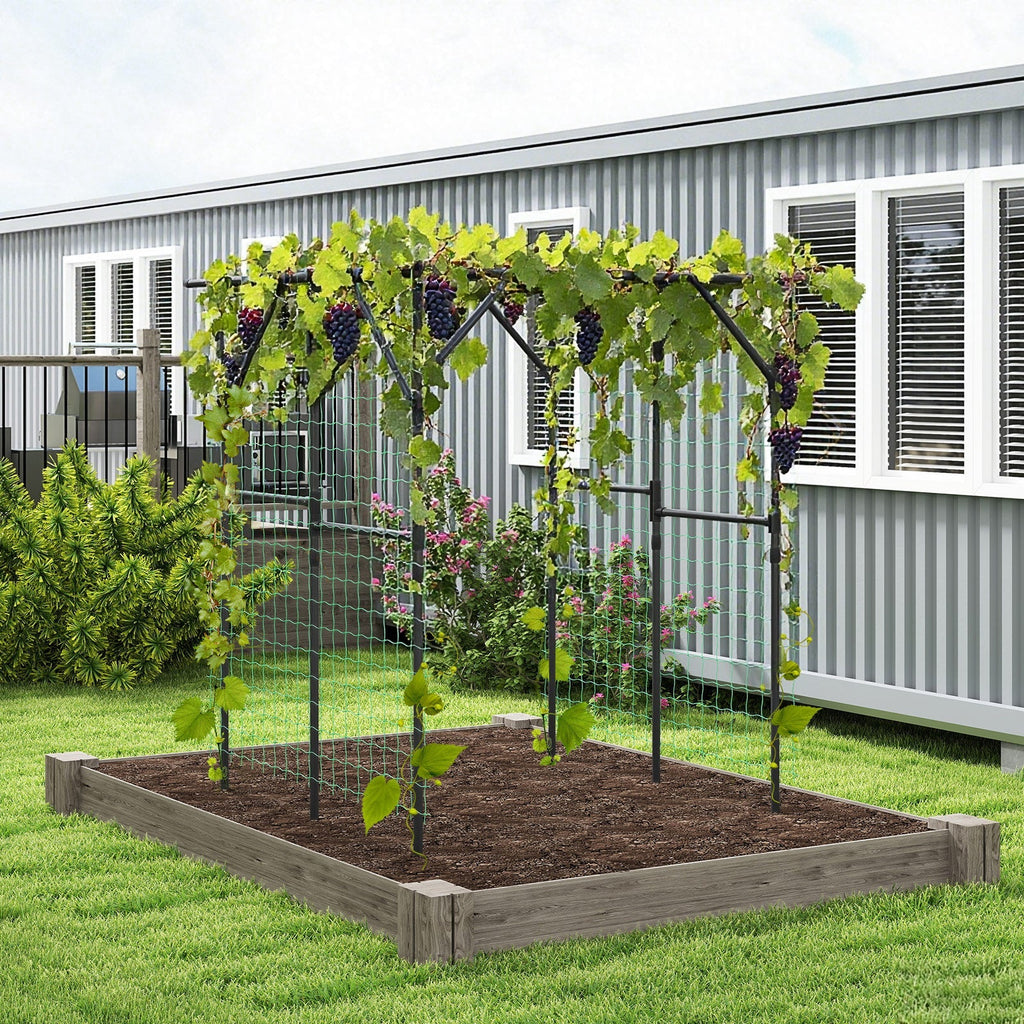 Large Garden Arch Trellis for Climbing Plants Outdoor Grape Vine Support-Black - Cheeky Garden