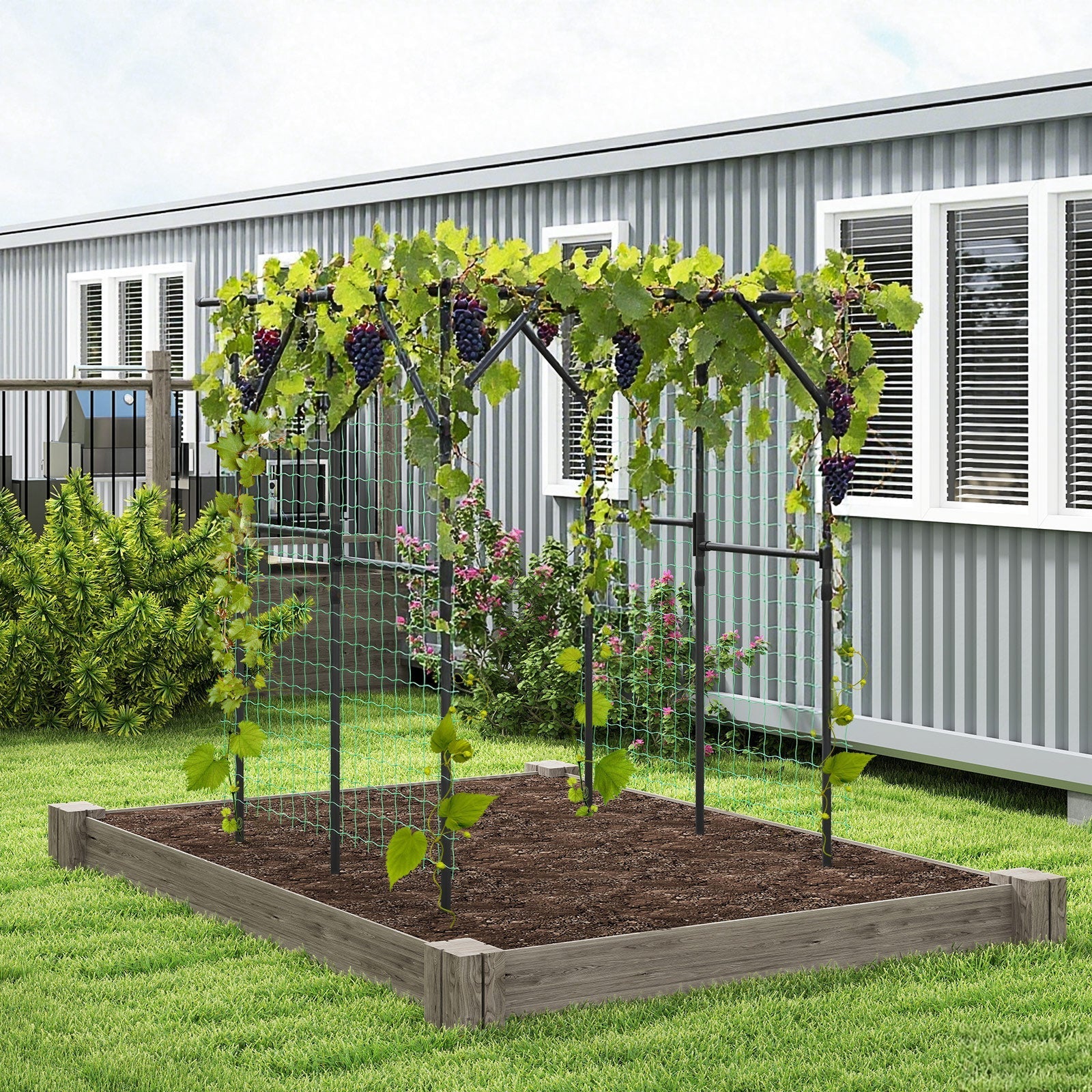 Large Garden Arch Trellis for Climbing Plants Outdoor Grape Vine Support-Black - Cheeky Garden