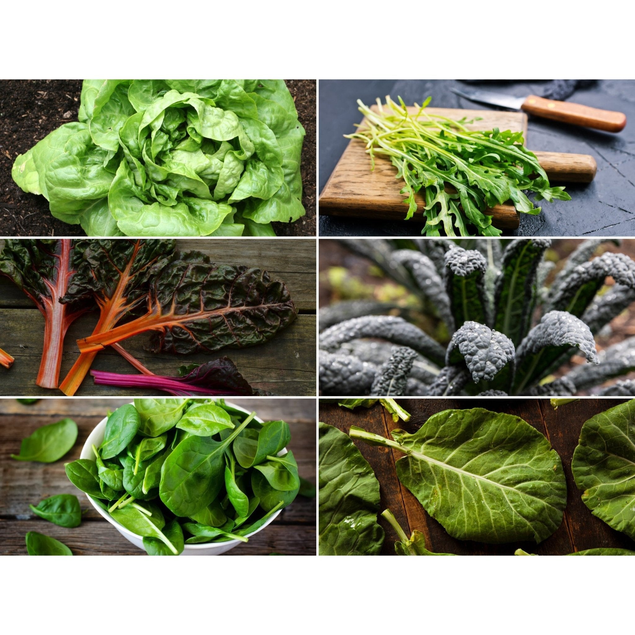 Leafy Greens Seed Collection – 6 Varieties - Cheeky Garden