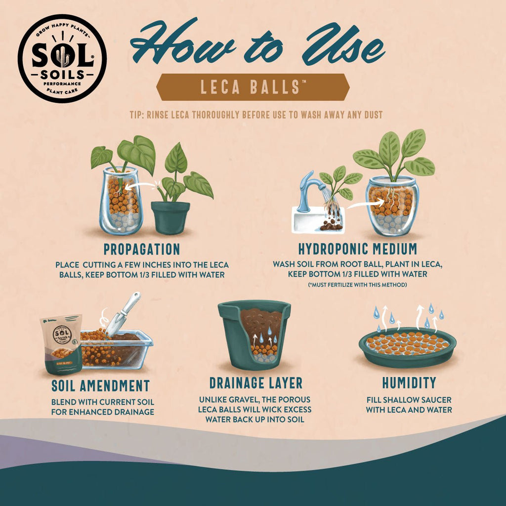 LECA Balls – Lightweight Expanded Clay Aggregate - Cheeky Garden