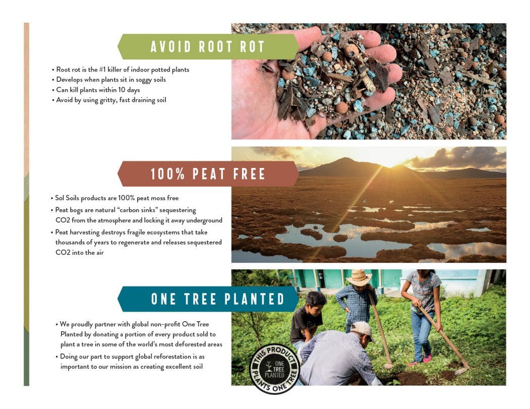 LECA Balls – Lightweight Expanded Clay Aggregate - Cheeky Garden