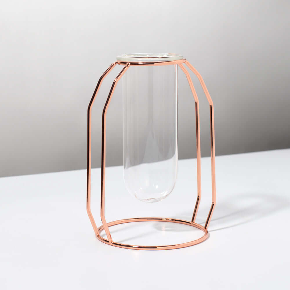 Lyfe Propagation Station – Single Tube Rose Gold - Cheeky Garden
