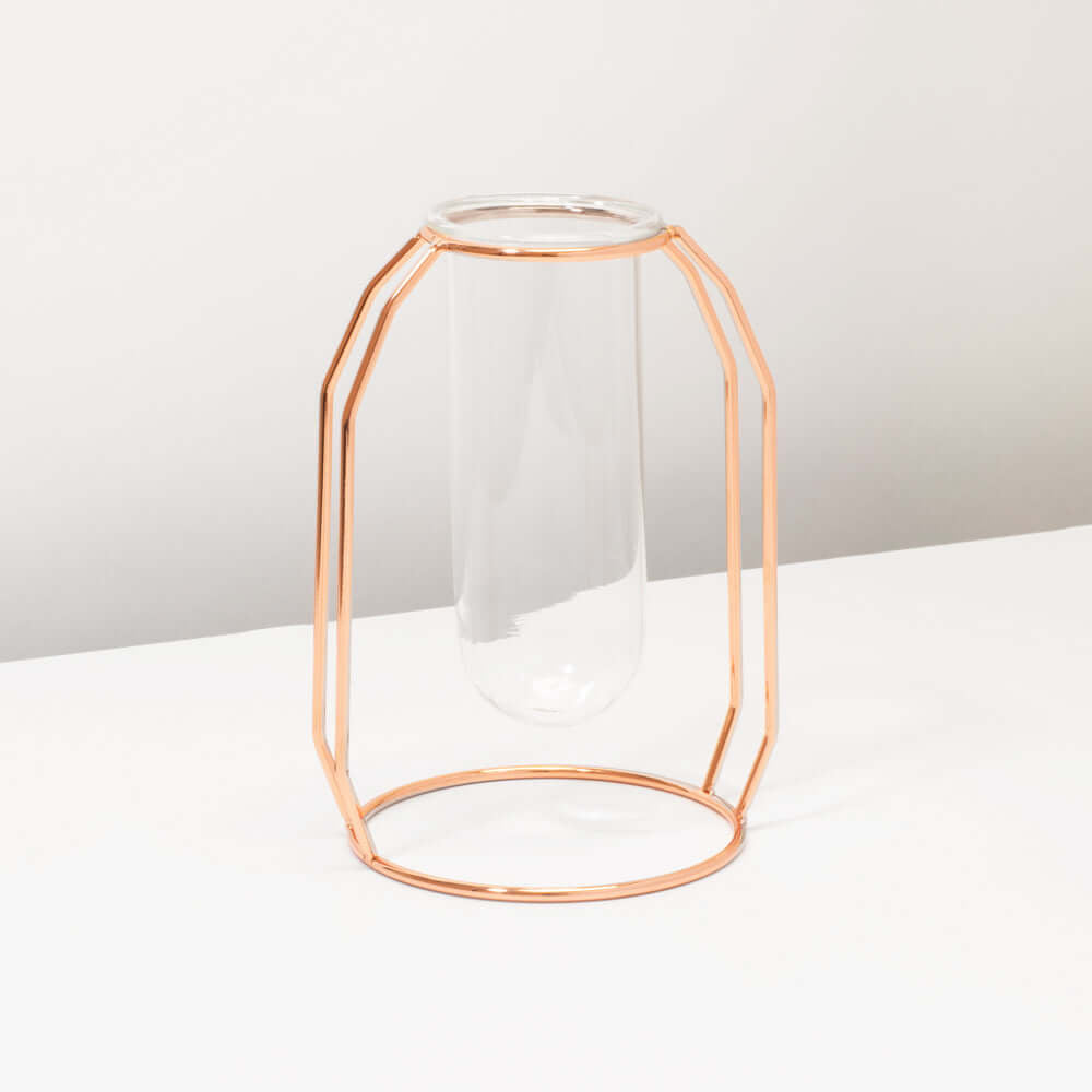 Lyfe Propagation Station – Single Tube Rose Gold - Cheeky Garden