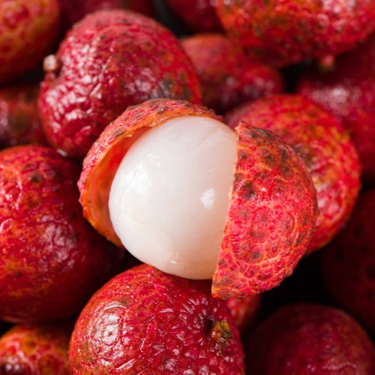Mauritius Lychee - Cheeky Garden