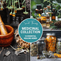 Medicinal Herb Seed Collection – 15 Varieties - Cheeky Garden