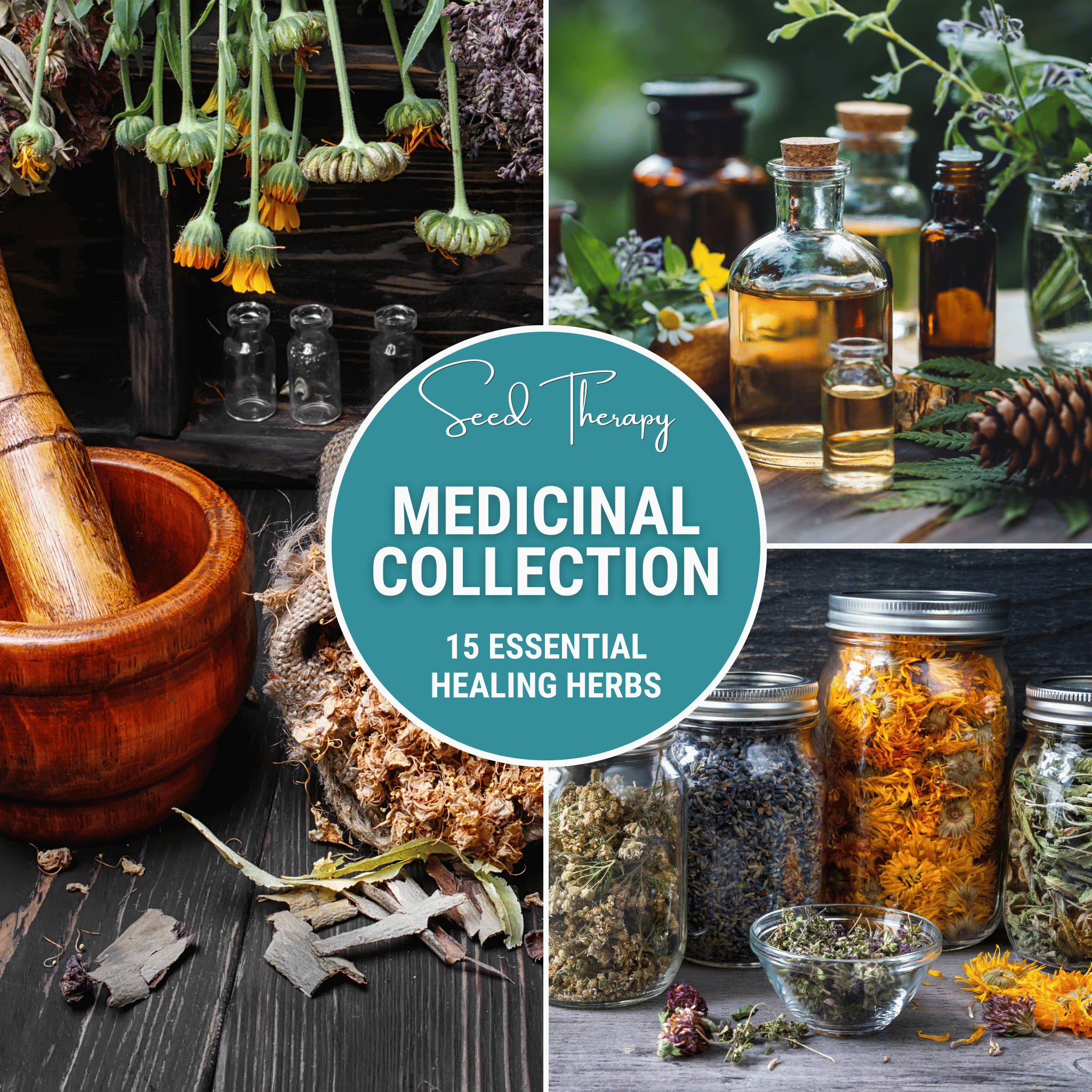 Medicinal Herb Seed Collection – 15 Varieties - Cheeky Garden