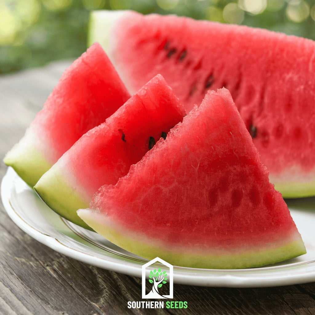 Melon Seed Collection (Watermelon • Cantaloupe • Honeydew) - Cheeky Garden