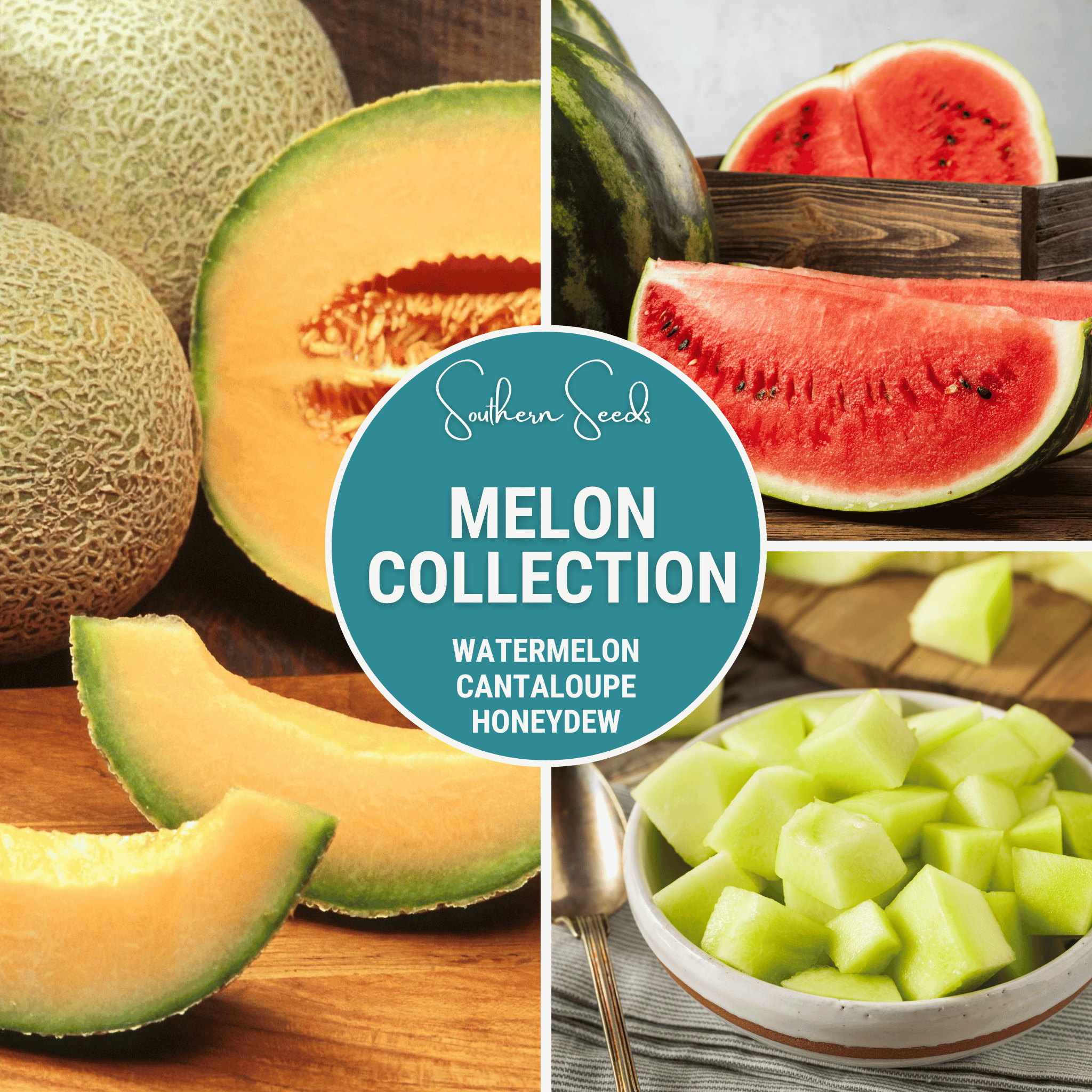 Melon Seed Collection (Watermelon • Cantaloupe • Honeydew) - Cheeky Garden