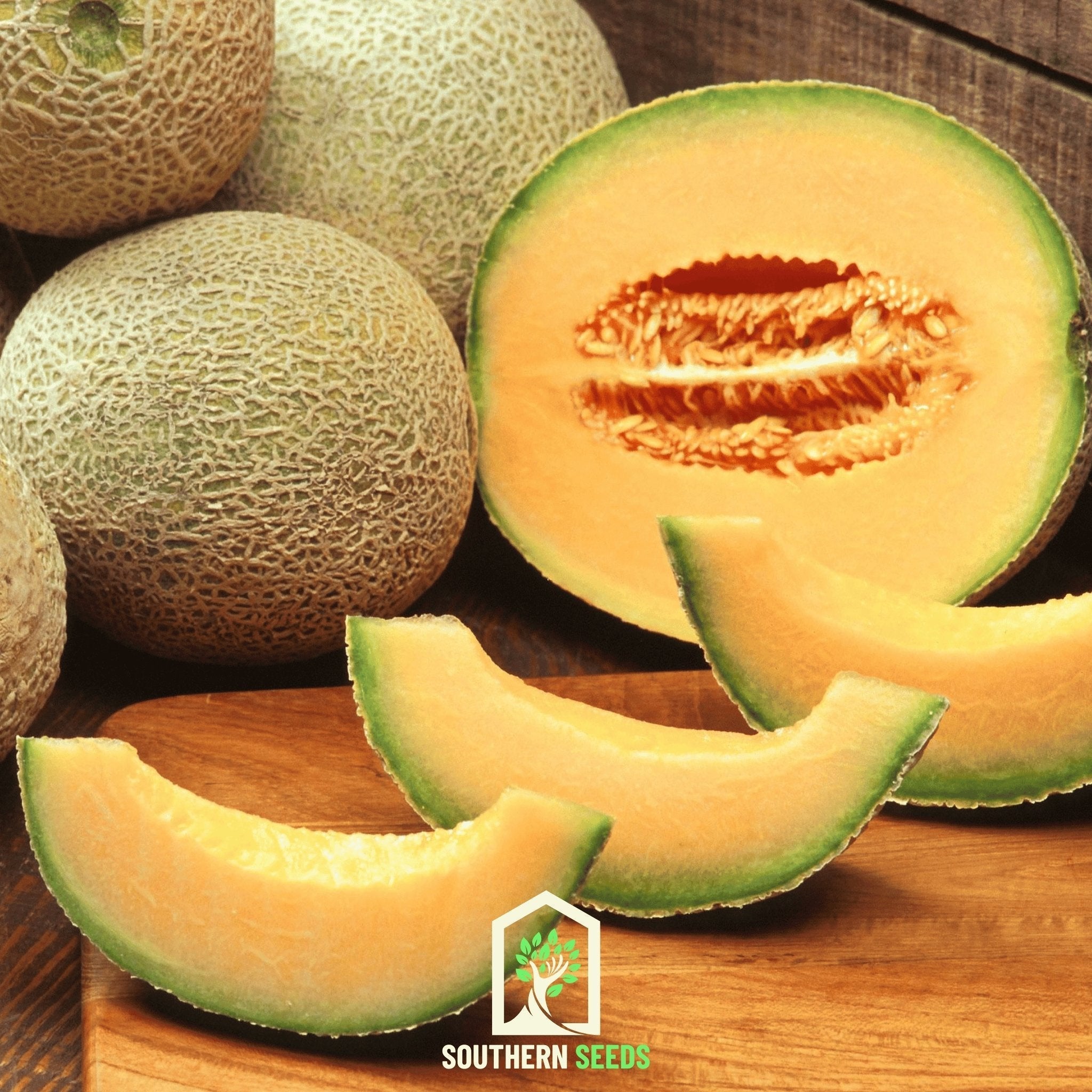 Melon Seed Collection (Watermelon • Cantaloupe • Honeydew) - Cheeky Garden