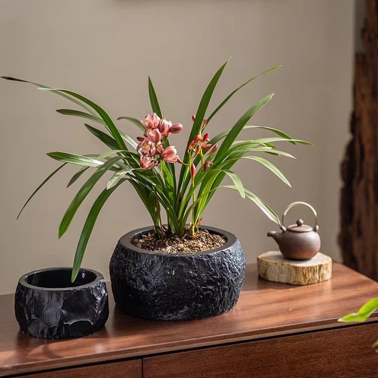 Mesa Cement Pot Planter - Cheeky Garden