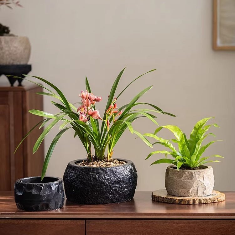 Mesa Cement Pot Planter - Cheeky Garden