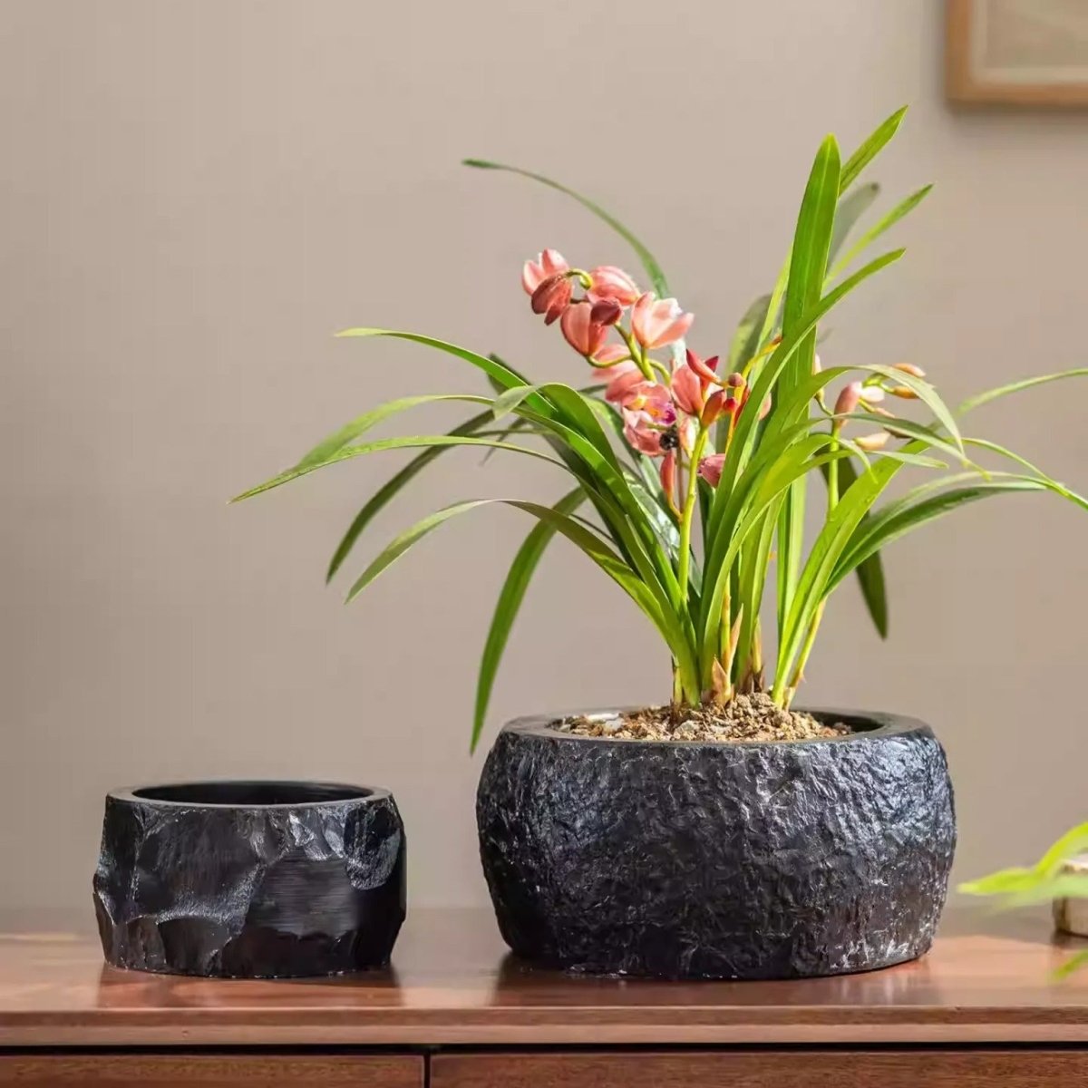 Mesa Cement Pot Planter - Cheeky Garden