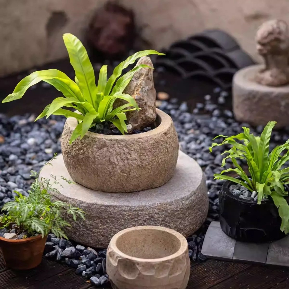 Mesa Cement Pot Planter - Cheeky Garden