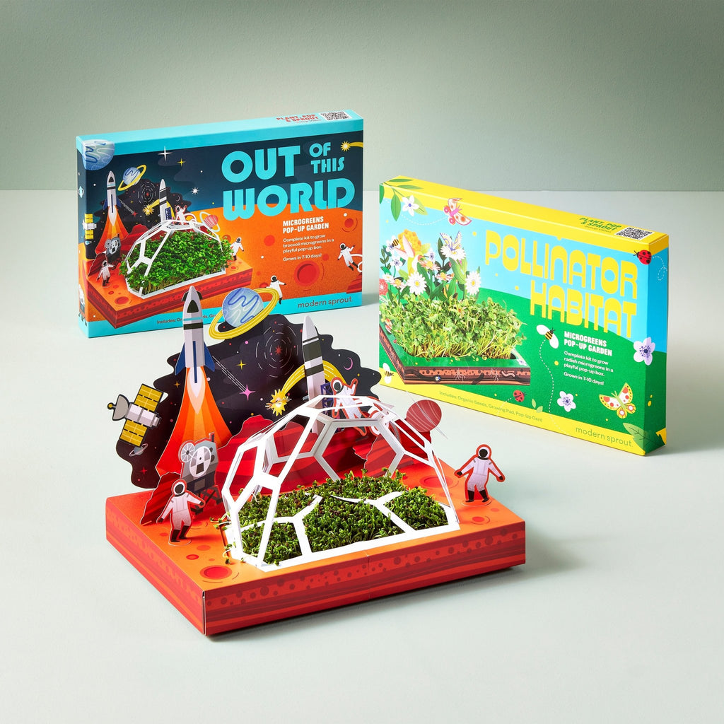 Microgreens Pop-Up Kit - Cheeky Garden