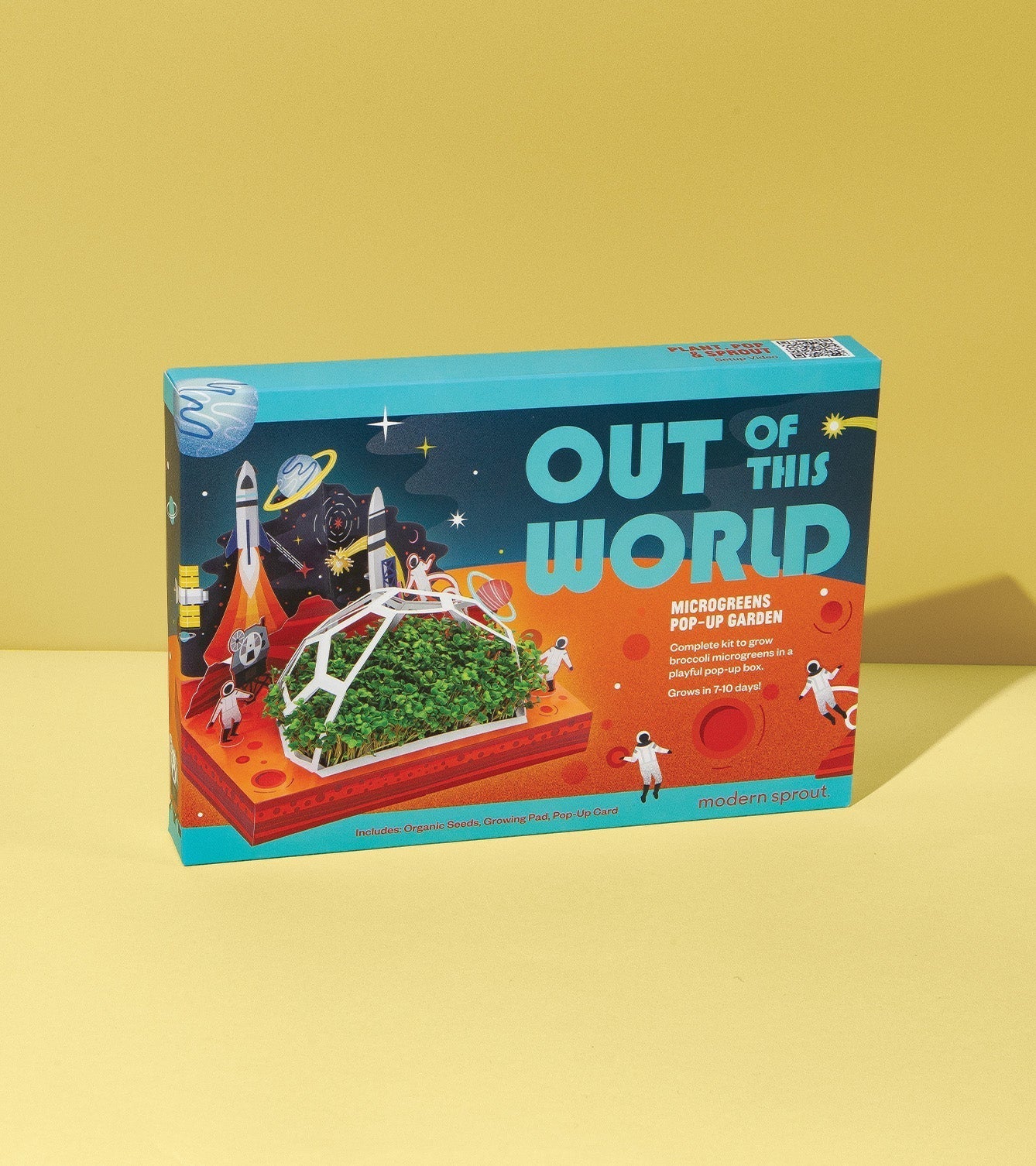 Microgreens Pop-Up Kit - Cheeky Garden