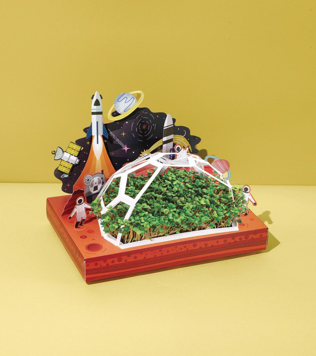 Microgreens Pop-Up Kit - Cheeky Garden