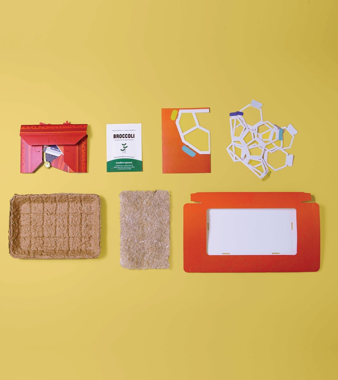 Microgreens Pop-Up Kit - Cheeky Garden