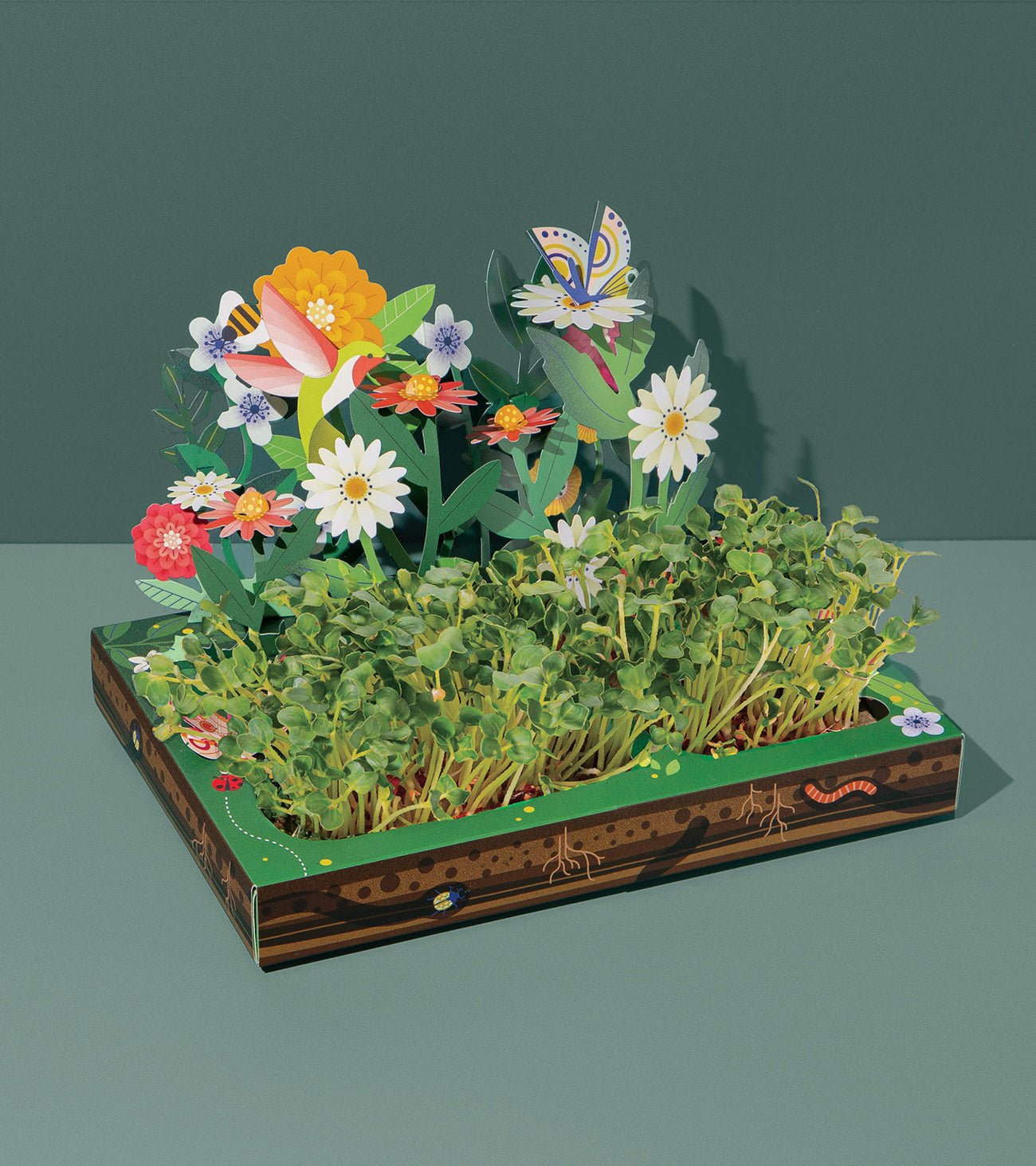 Microgreens Pop-Up Kit - Cheeky Garden