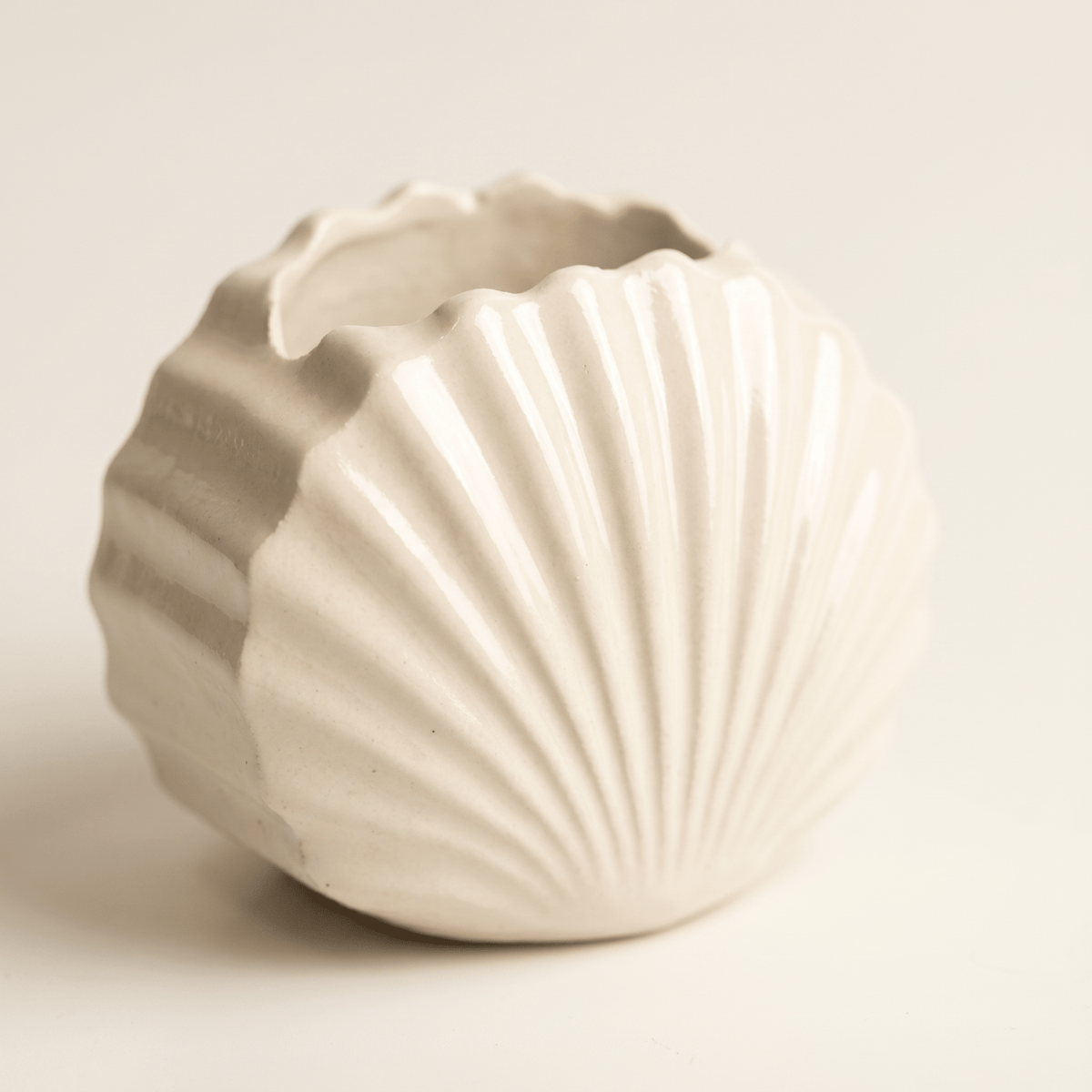 Mini Clam Shell Planter – Gypsum White 3" - Cheeky Garden