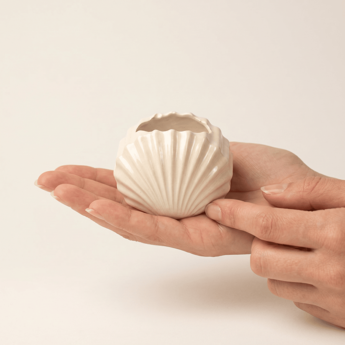 Mini Clam Shell Planter – Gypsum White 3" - Cheeky Garden
