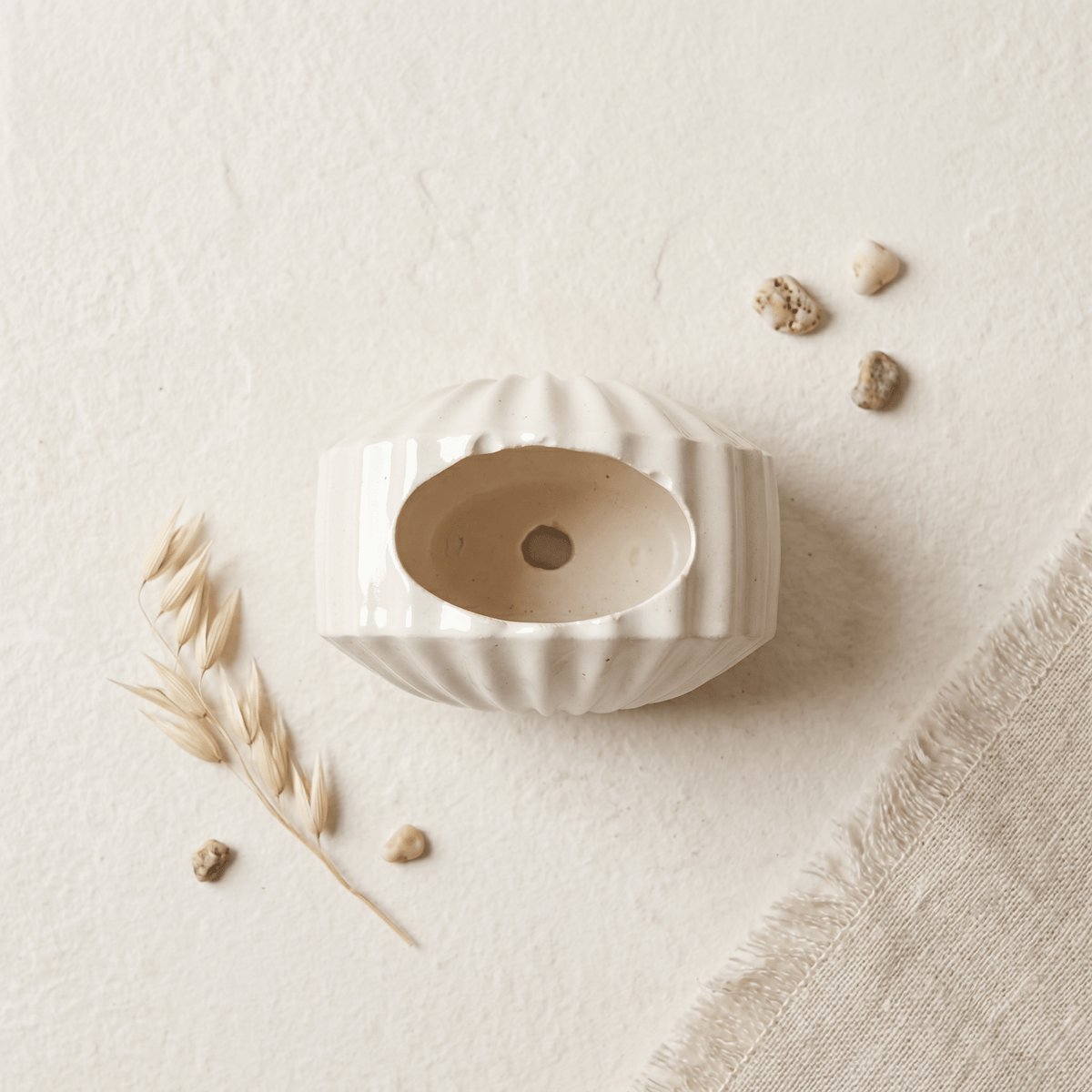 Mini Clam Shell Planter – Gypsum White 3" - Cheeky Garden