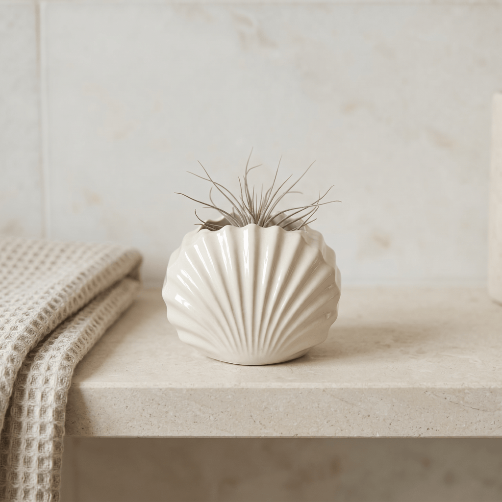 Mini Clam Shell Planter – Gypsum White 3" - Cheeky Garden