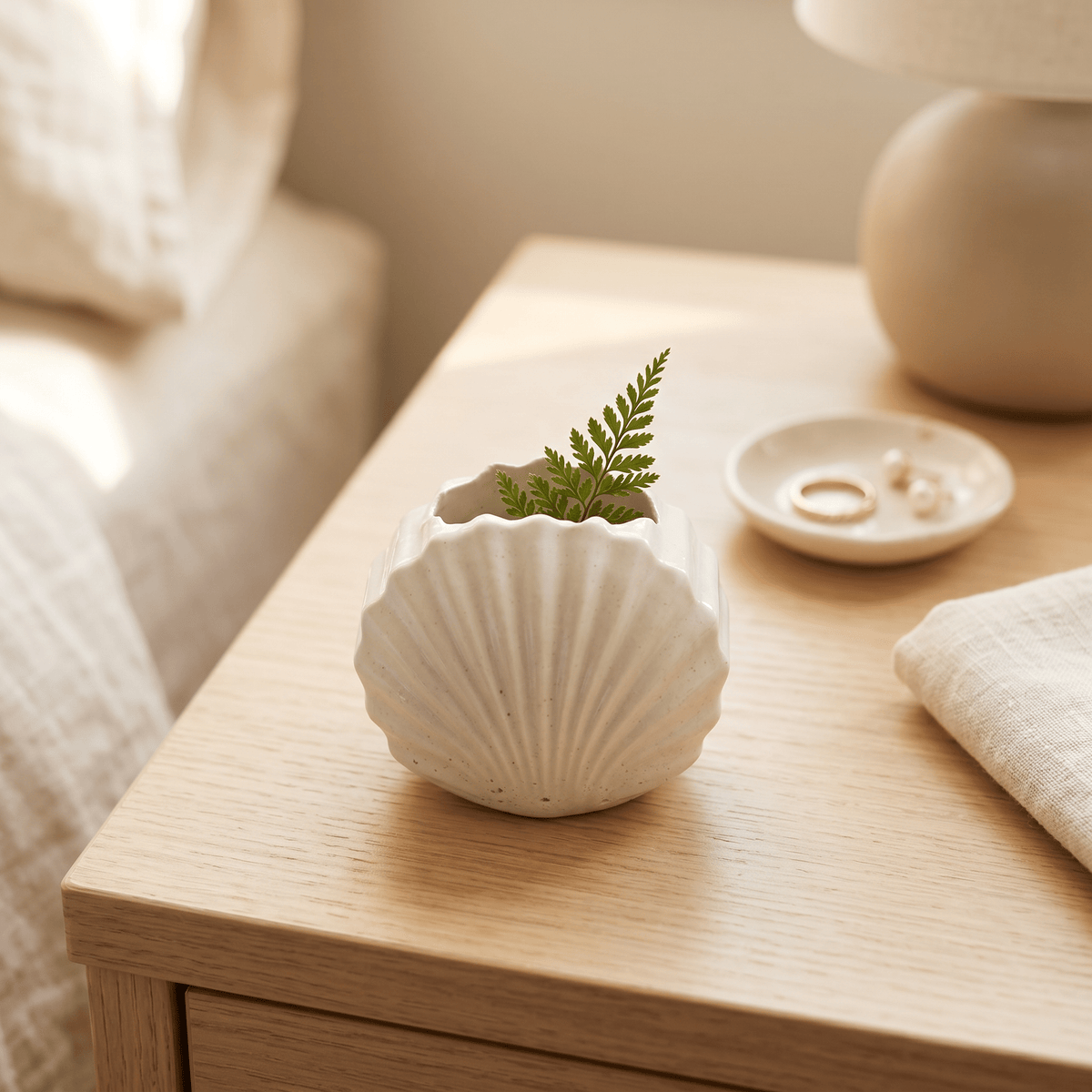 Mini Clam Shell Planter – Gypsum White 3" - Cheeky Garden