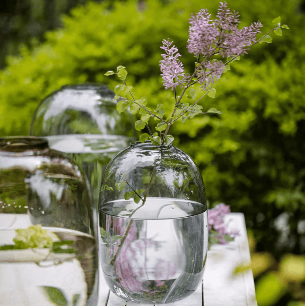 Modern Clear Glass Vase - Cheeky Garden