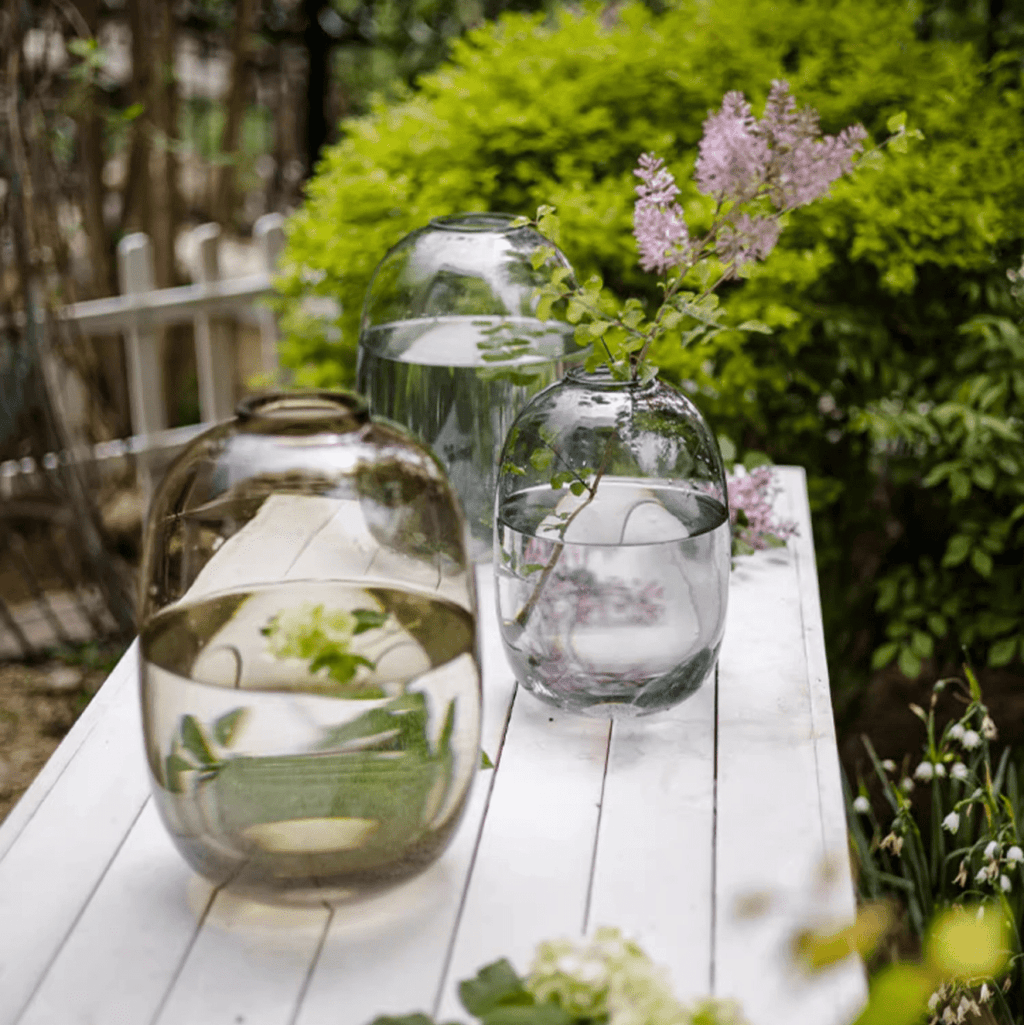 Modern Clear Glass Vase - Cheeky Garden