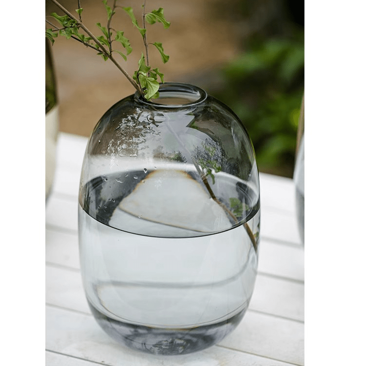 Modern Clear Glass Vase - Cheeky Garden