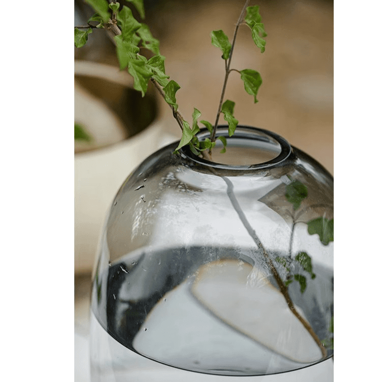 Modern Clear Glass Vase - Cheeky Garden