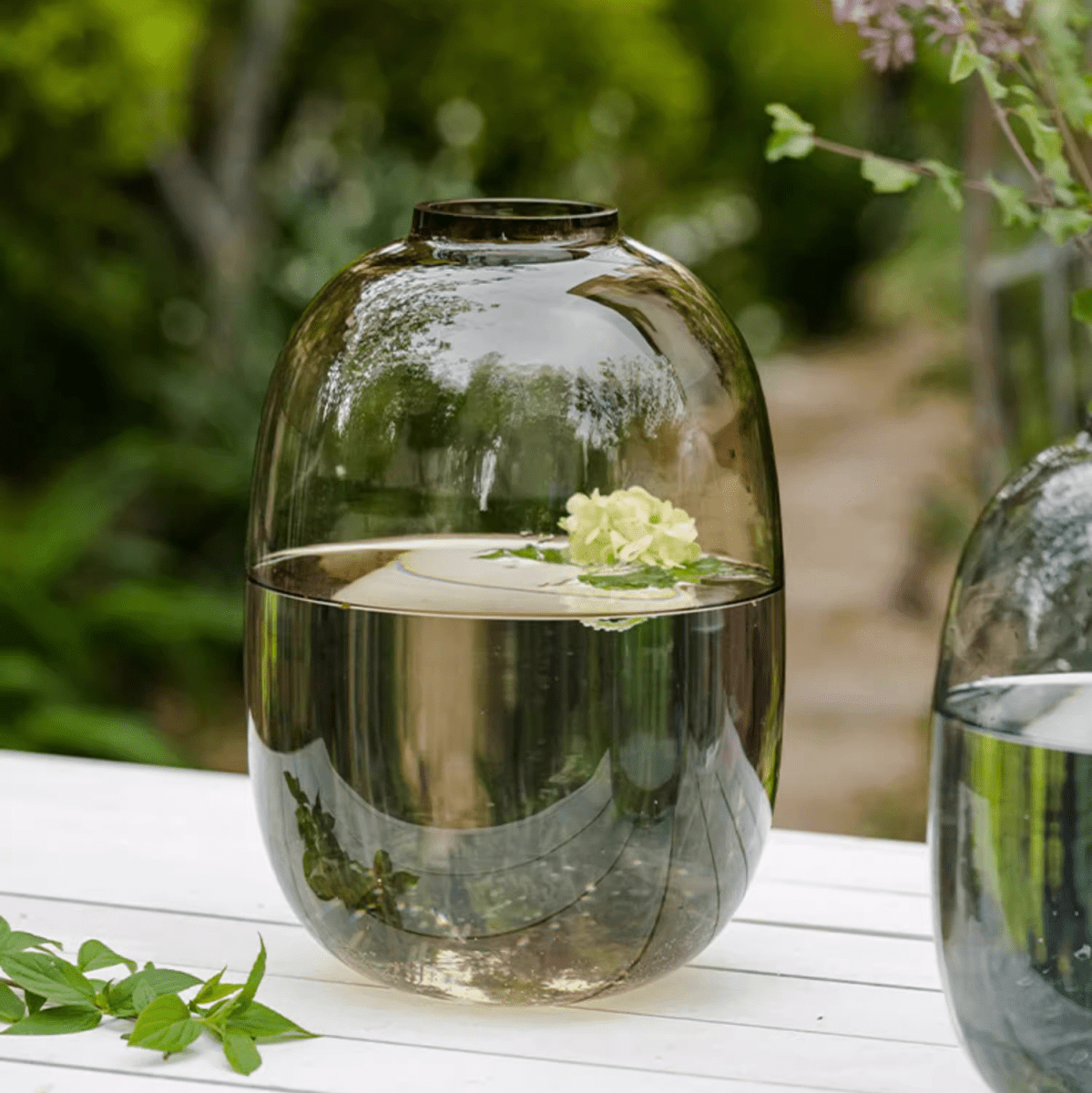 Modern Clear Glass Vase - Cheeky Garden