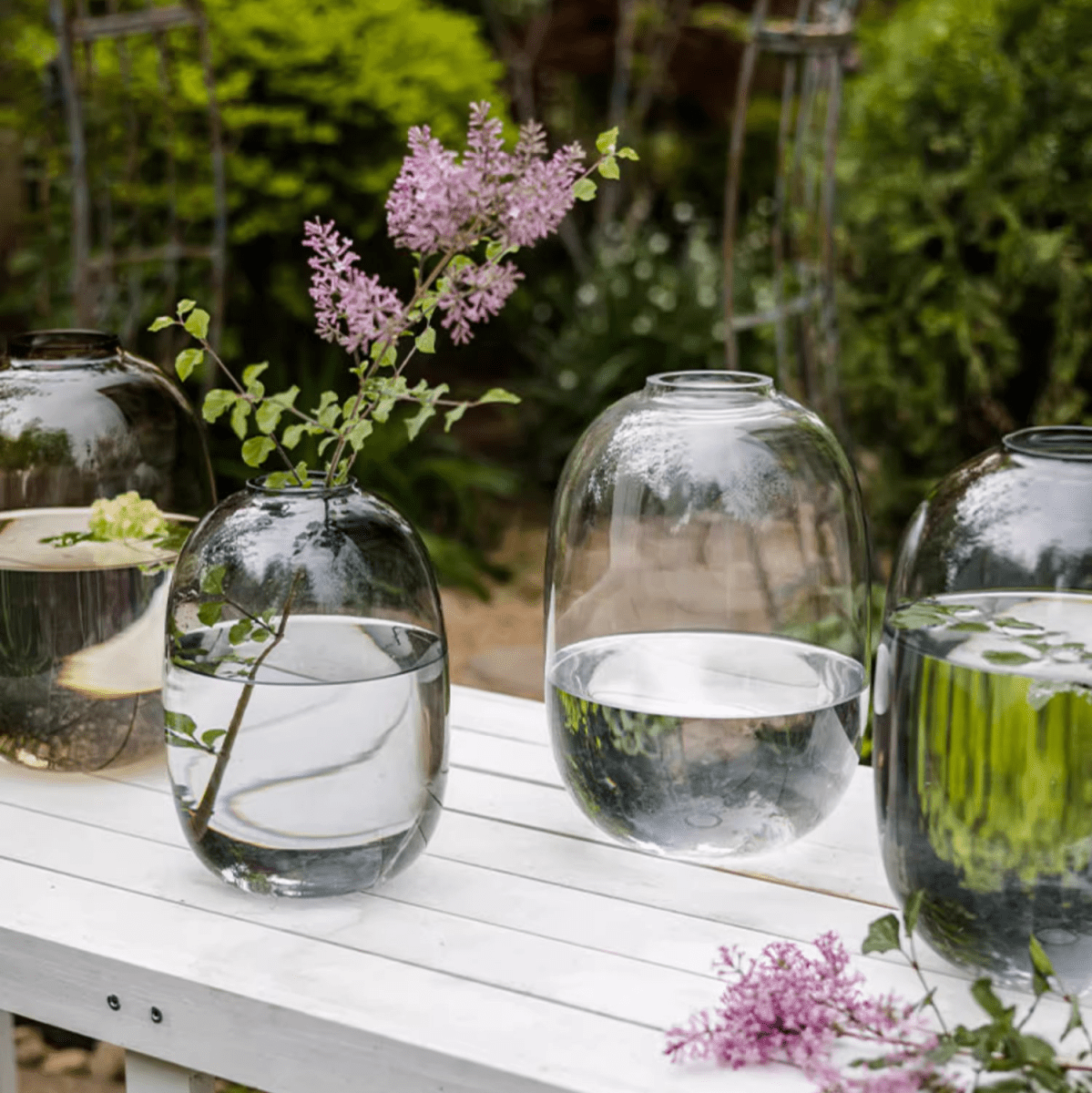 Modern Clear Glass Vase - Cheeky Garden